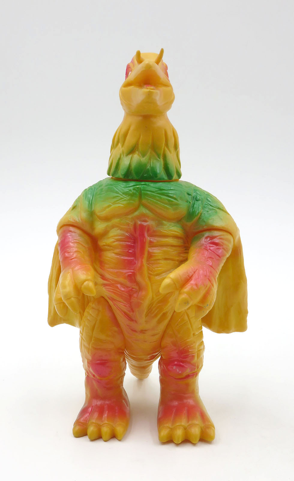 Terochilus bullmarkTerochilusYellow1.jpg
