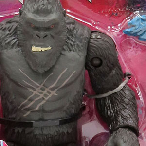 kong.jpg